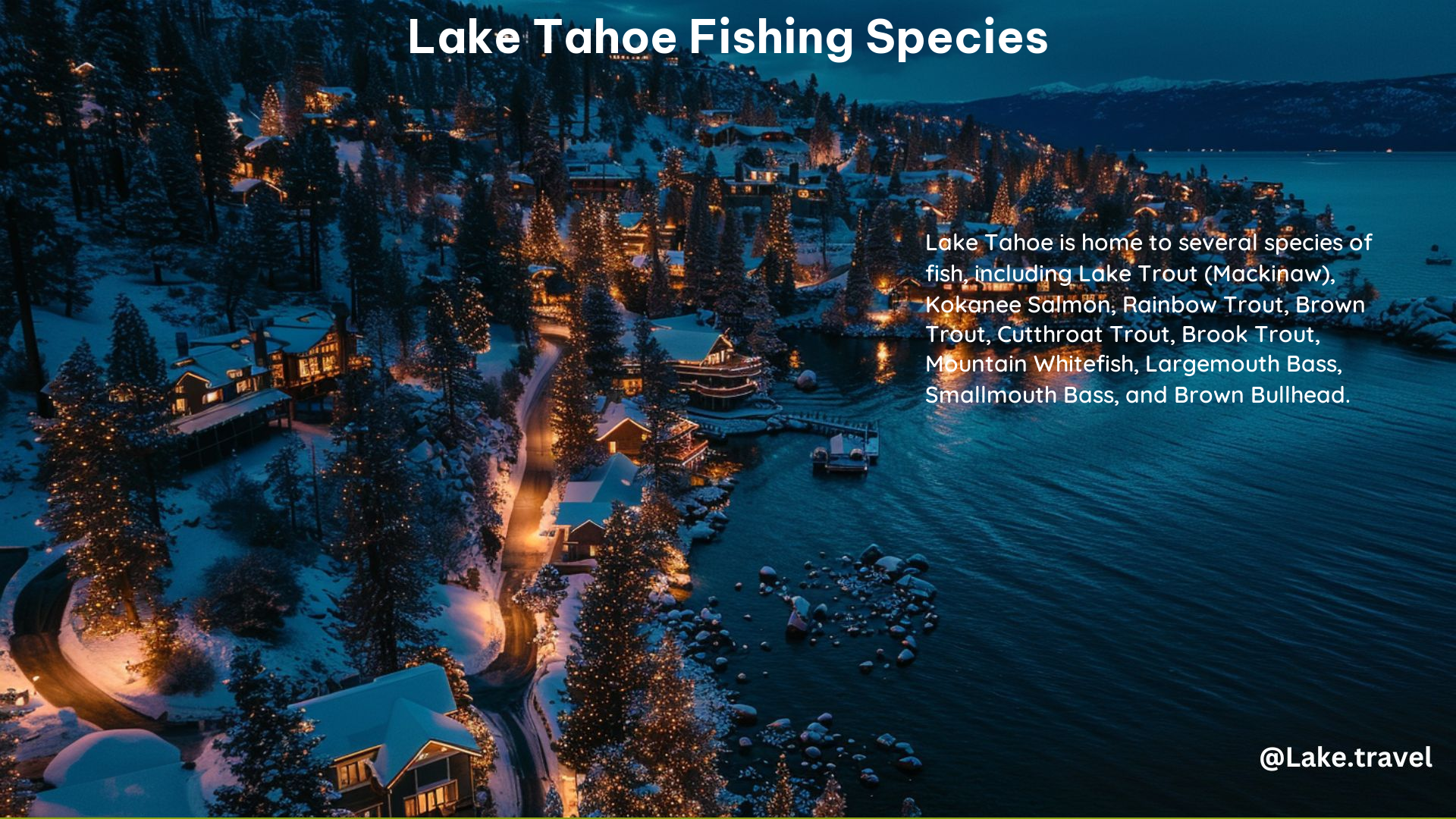 Lake Tahoe Fishing Species