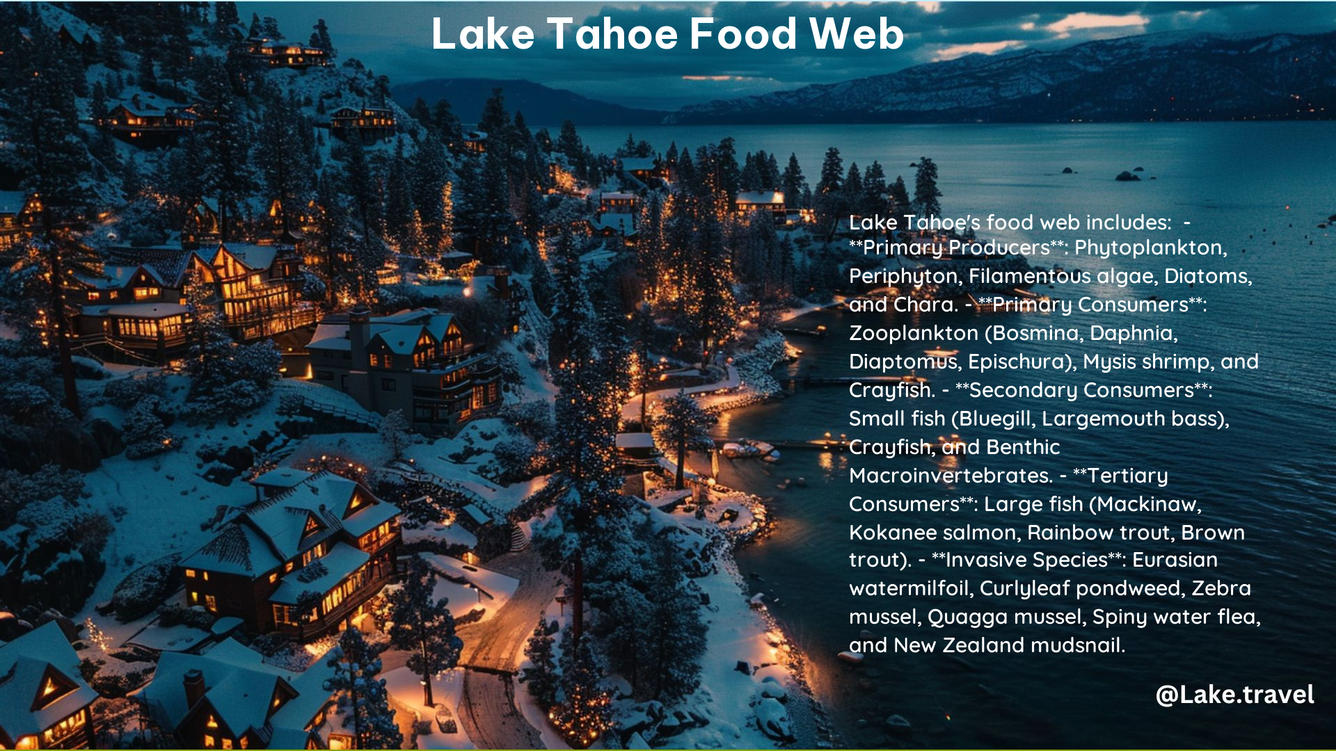 Lake Tahoe Food Web