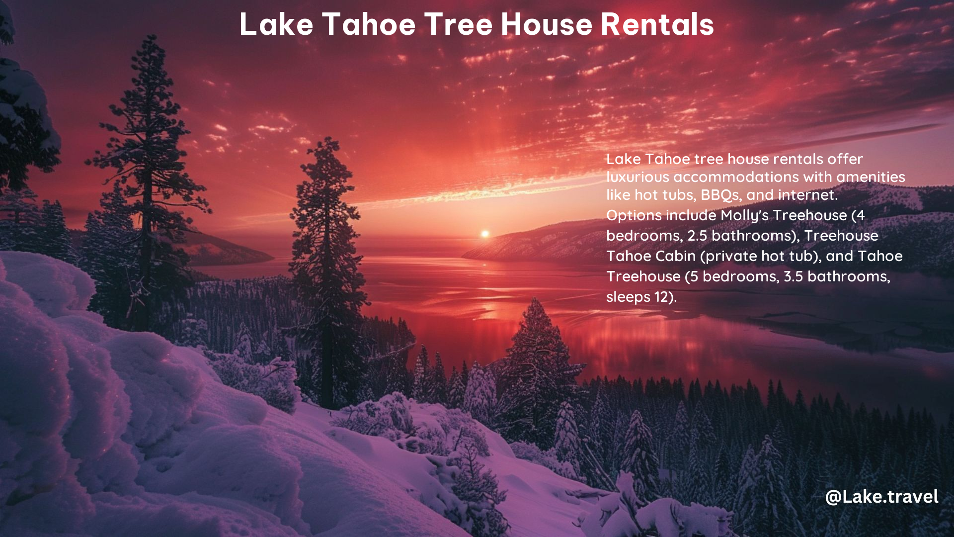 Lake Tahoe Tree House Rentals