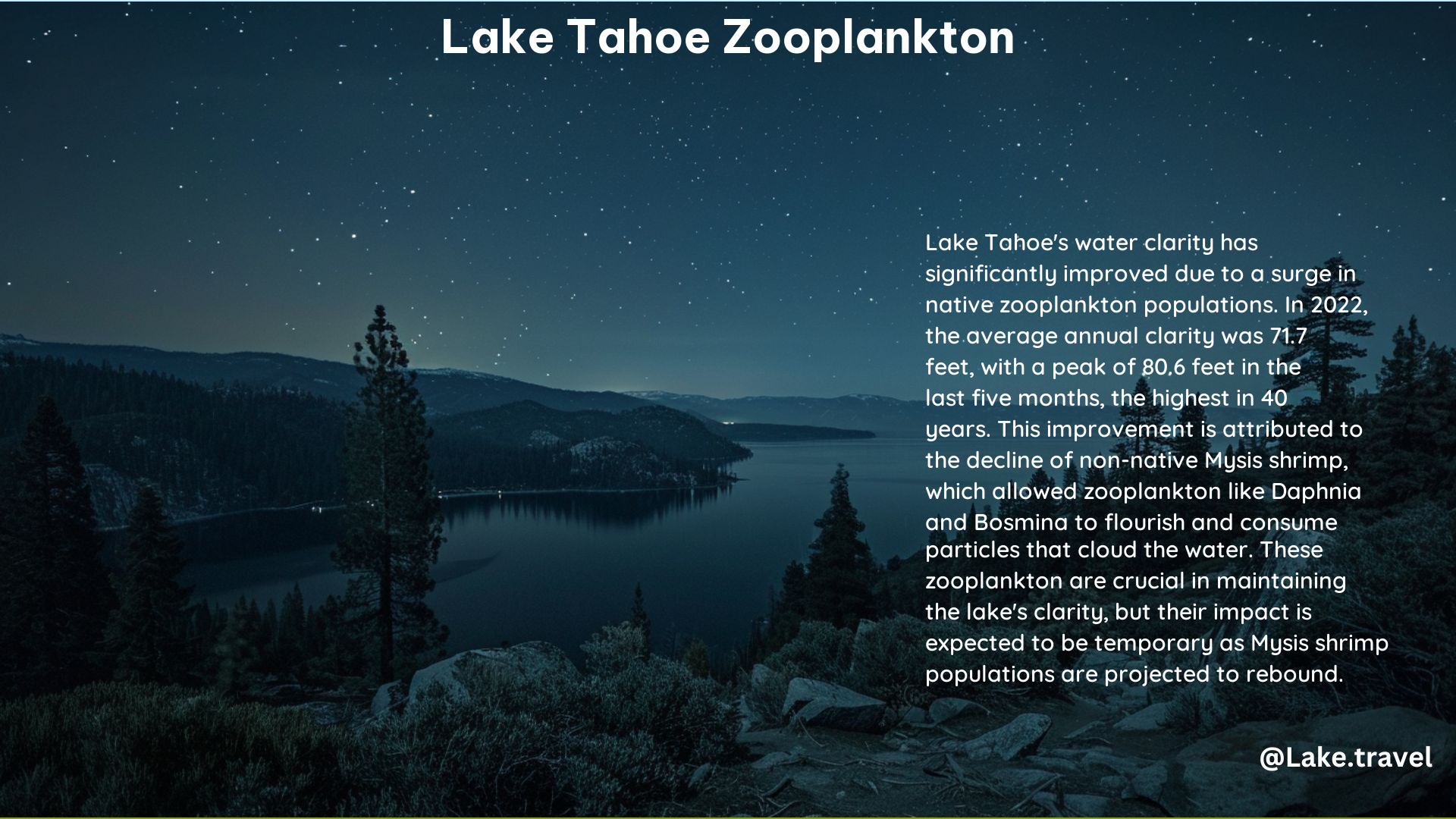 Lake Tahoe Zooplankton