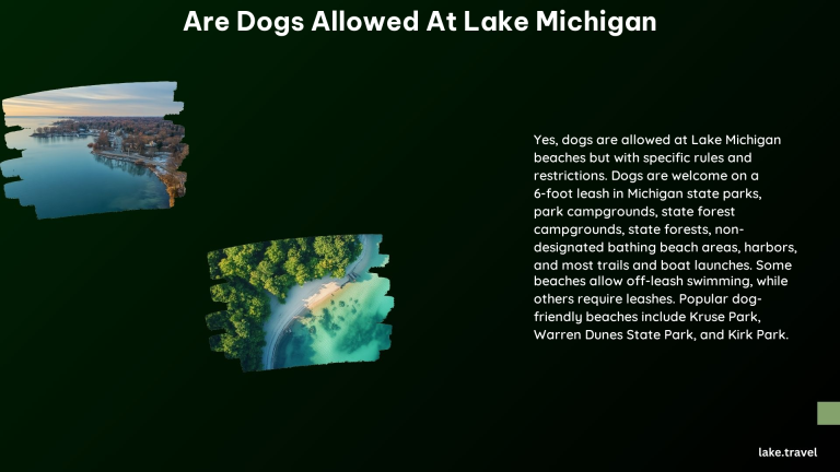 Are Dogs Allowed at Lake Michigan