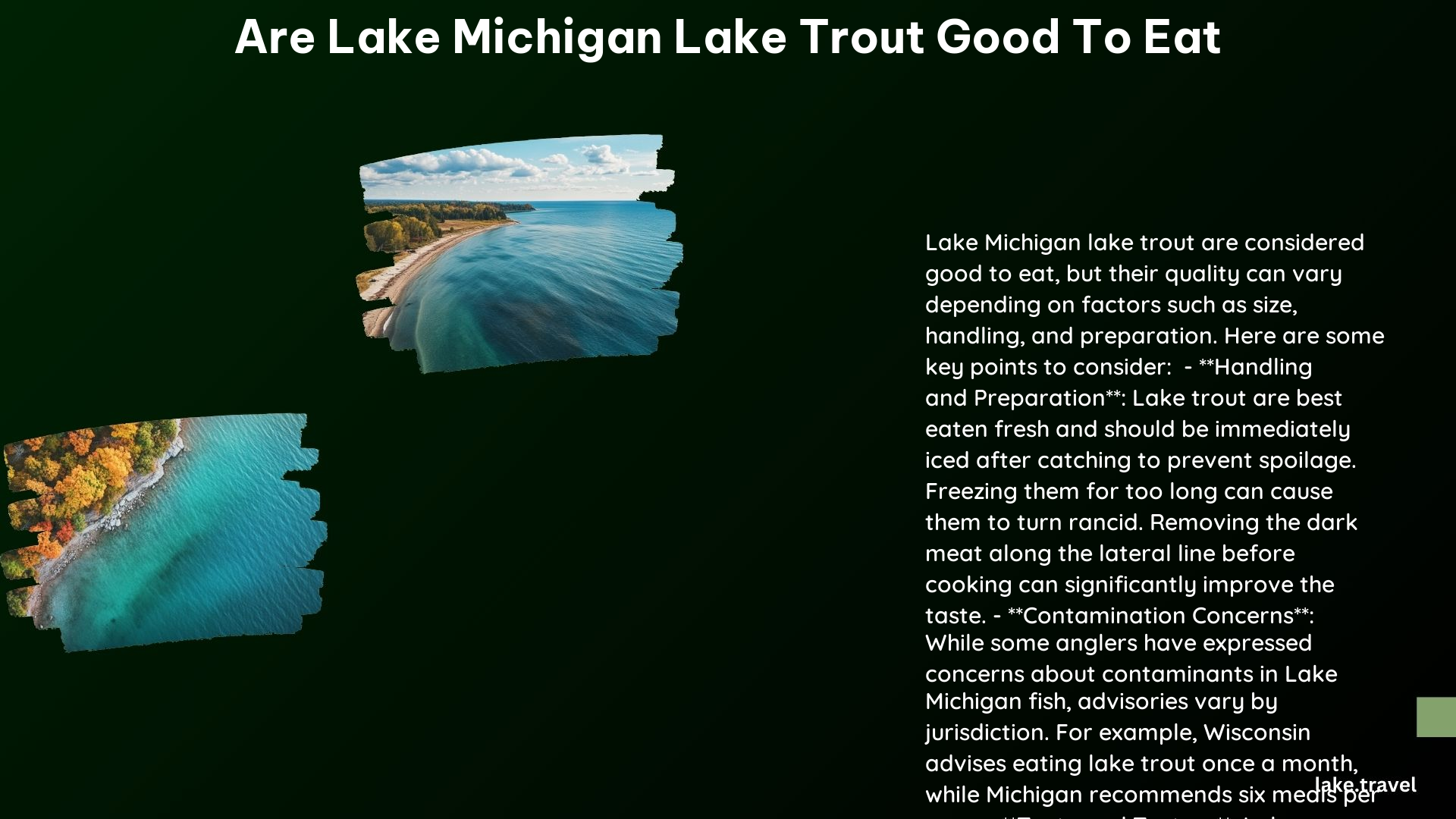 Are Lake Michigan Lake Trout Good to Eat