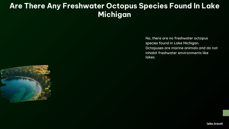 Are There Any Freshwater Octopus Species Found in Lake Michigan