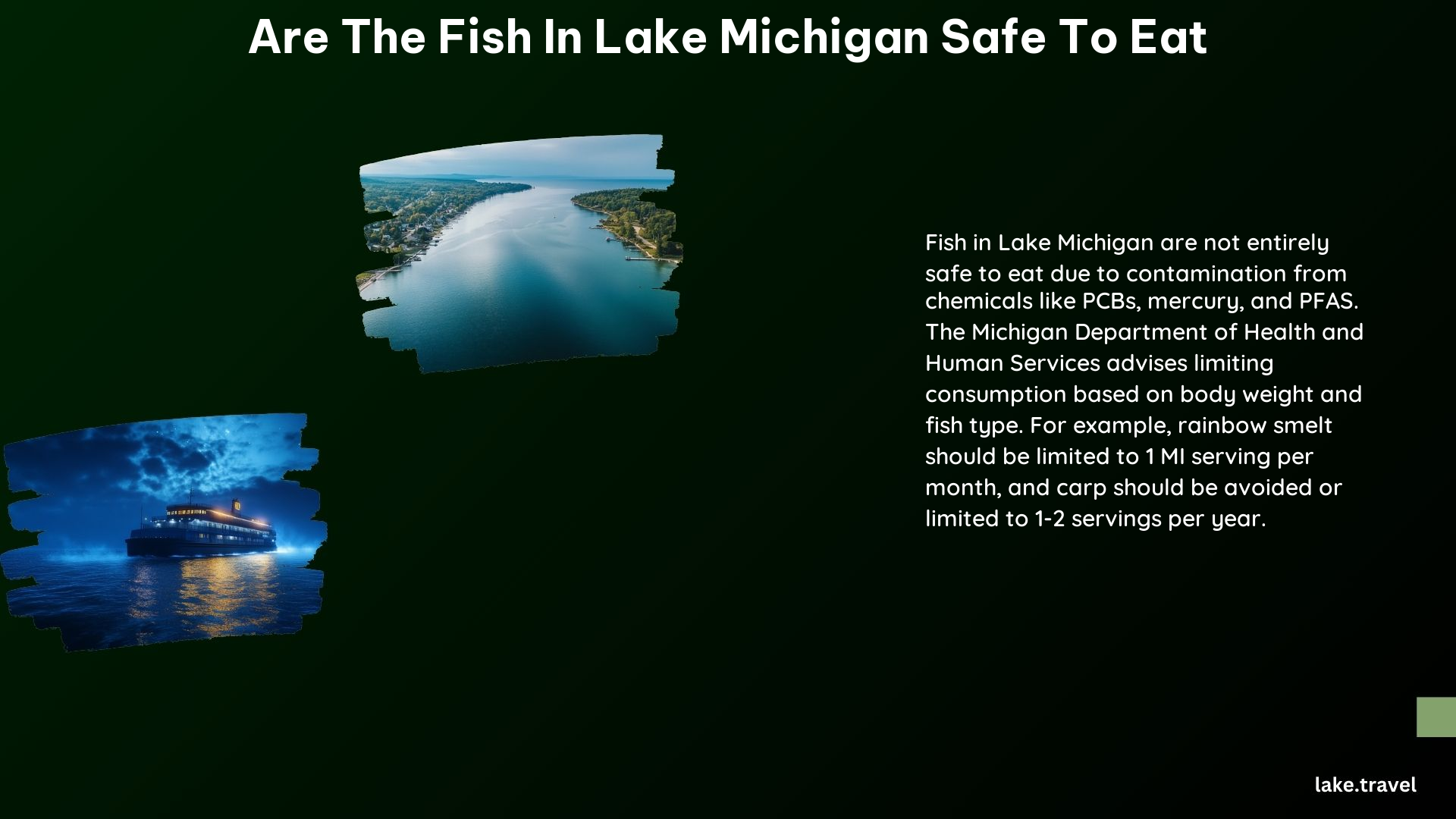 Are the Fish in Lake Michigan Safe to Eat