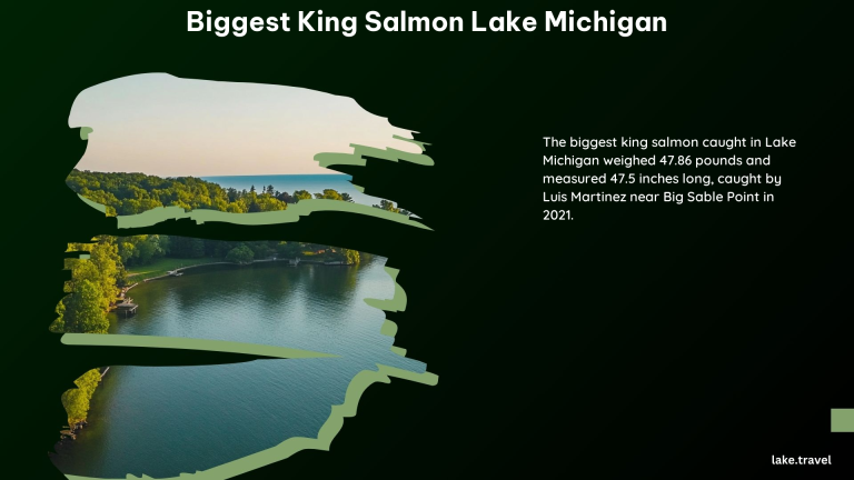 Biggest King Salmon Lake Michigan