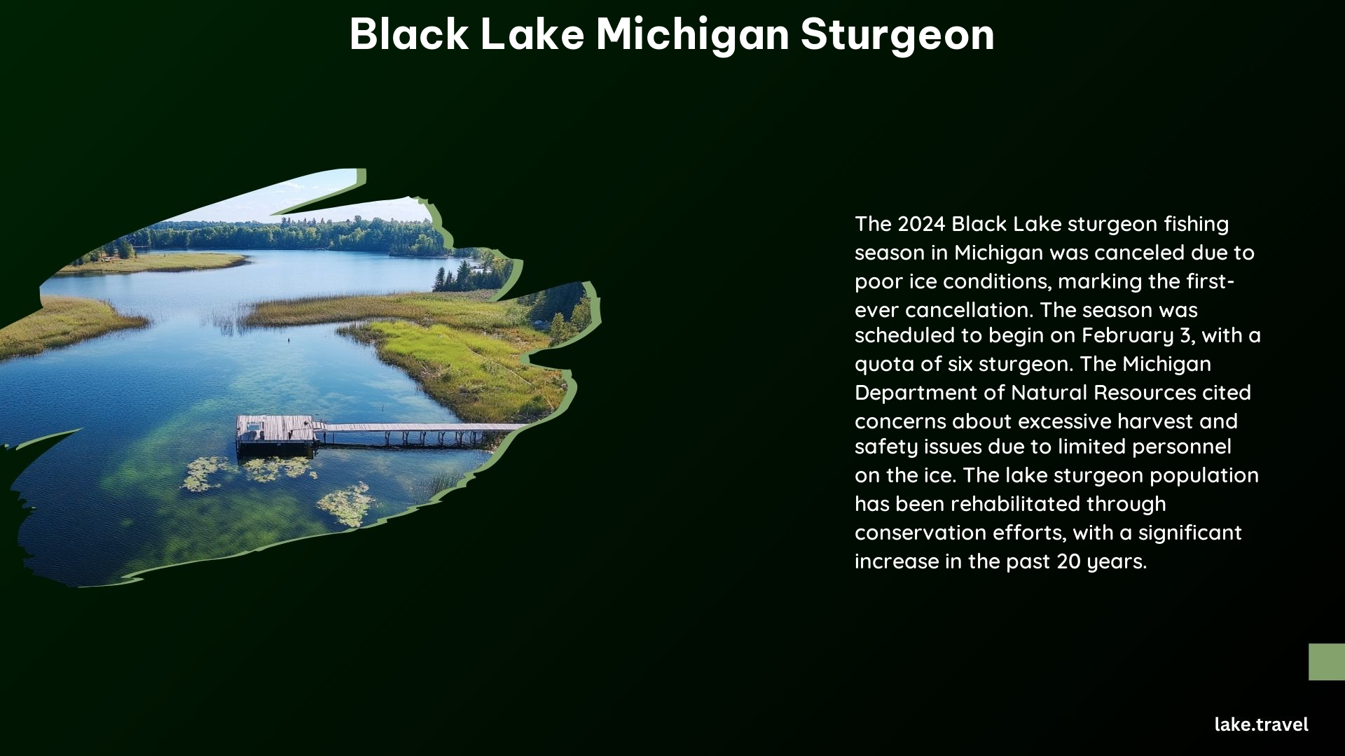 Black Lake Michigan Sturgeon