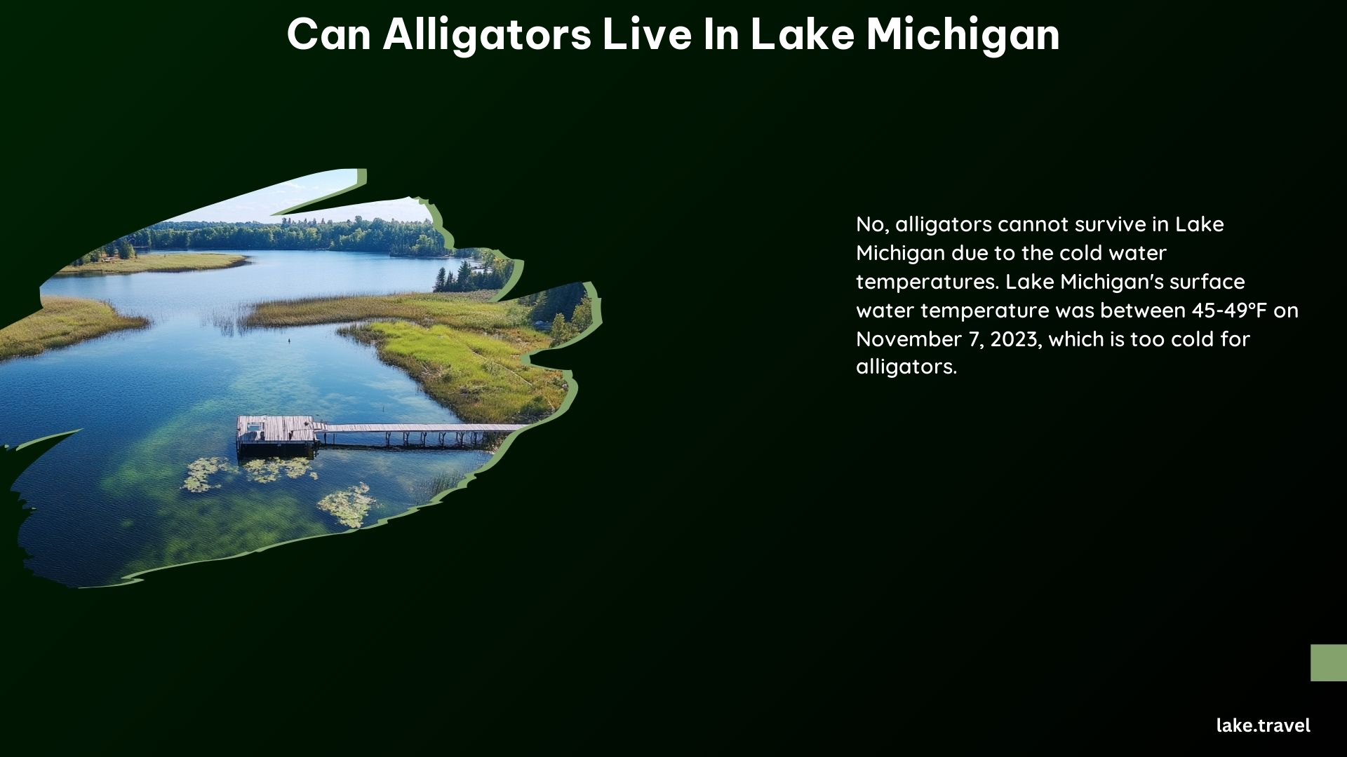 Can Alligators Live in Lake Michigan