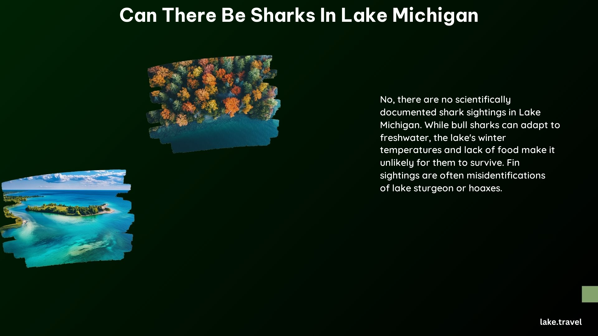 Can There Be Sharks in Lake Michigan