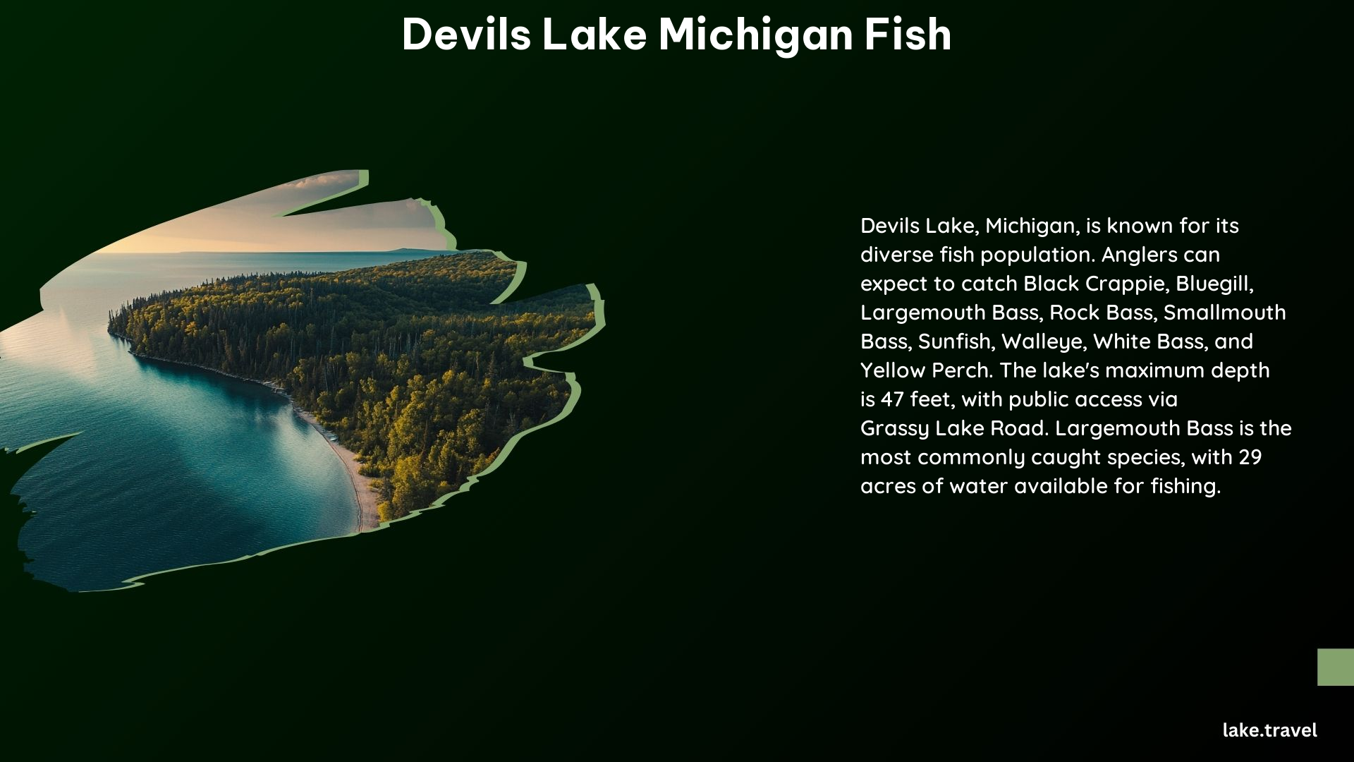 Devils Lake Michigan Fish