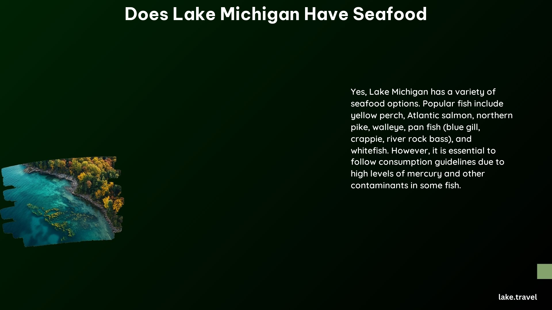 Does Lake Michigan Have Seafood