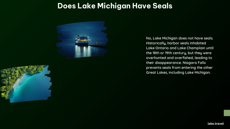 Does Lake Michigan Have Seals