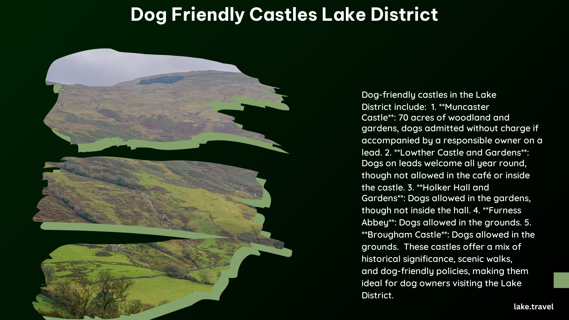 Dog Friendly Castles Lake District