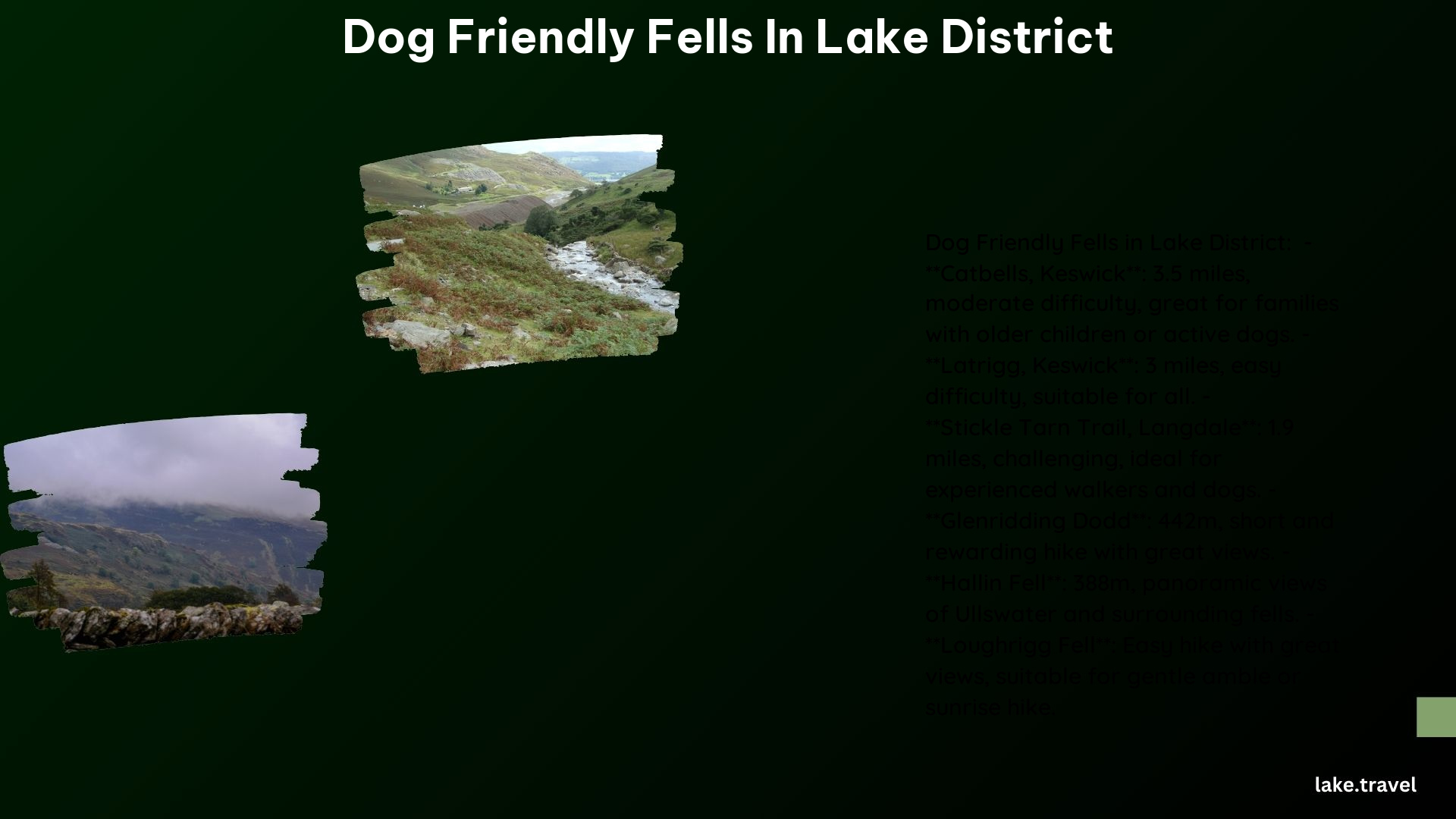 Dog Friendly Fells in Lake District