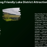 Dog Friendly Lake District Attractions