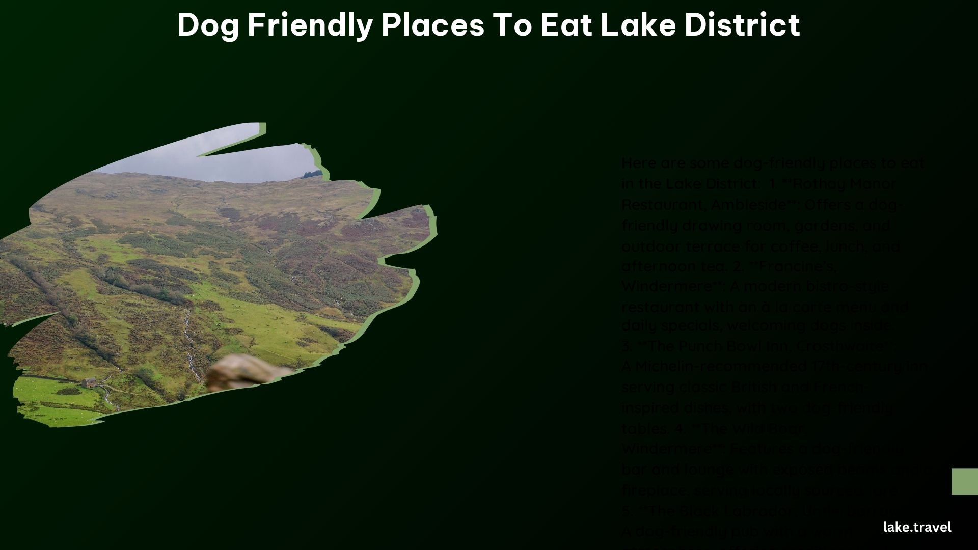 Dog Friendly Places to Eat Lake District