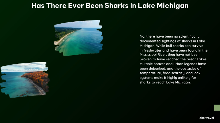 Has There Ever Been Sharks in Lake Michigan