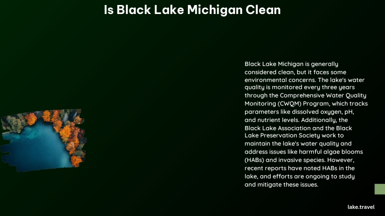 Is Black Lake Michigan Clean