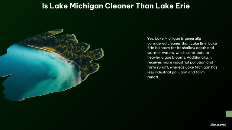 Is Lake Michigan Cleaner Than Lake Erie