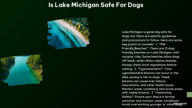 Is Lake Michigan Safe for Dogs