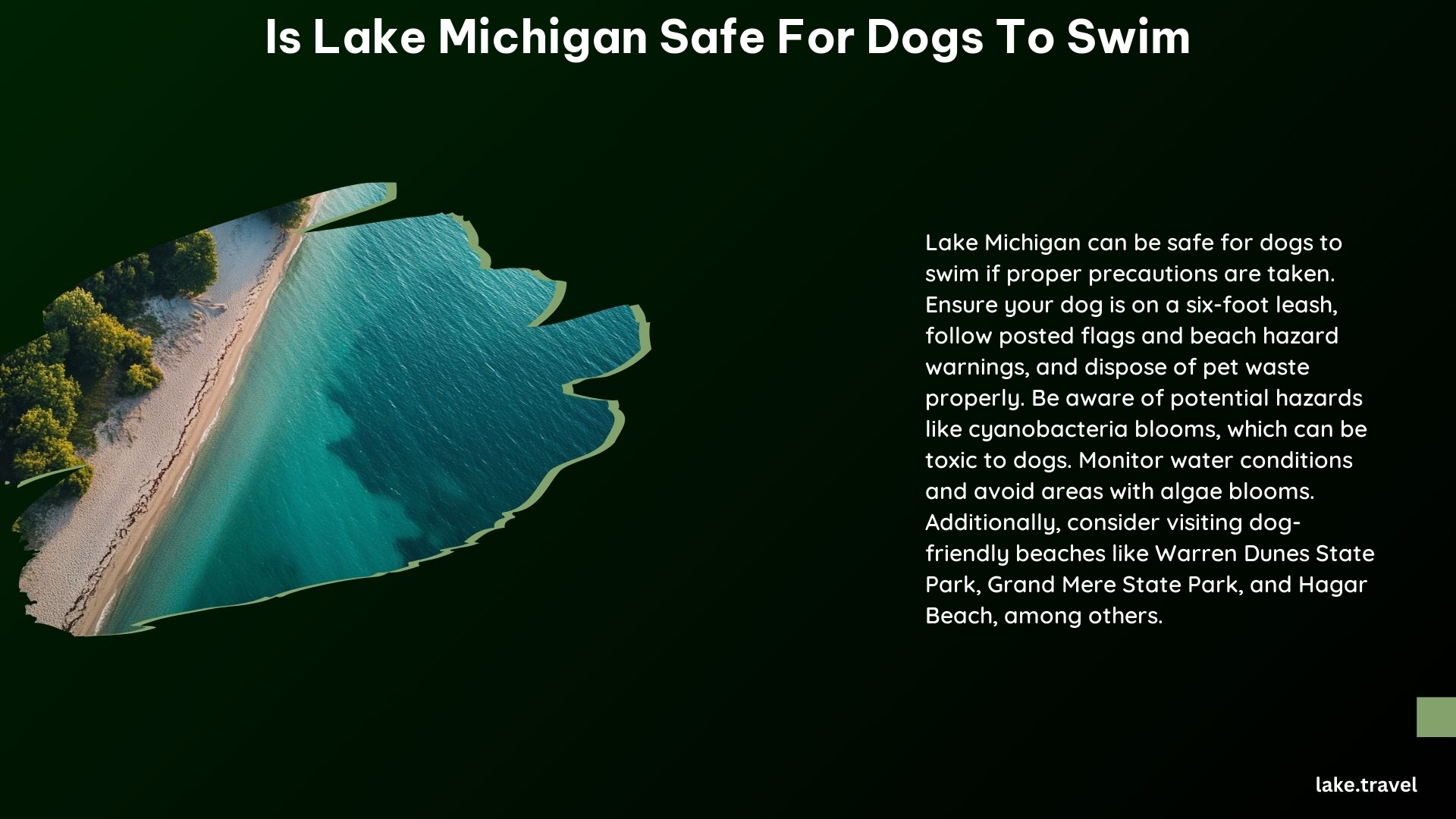 Is Lake Michigan Safe for Dogs to Swim