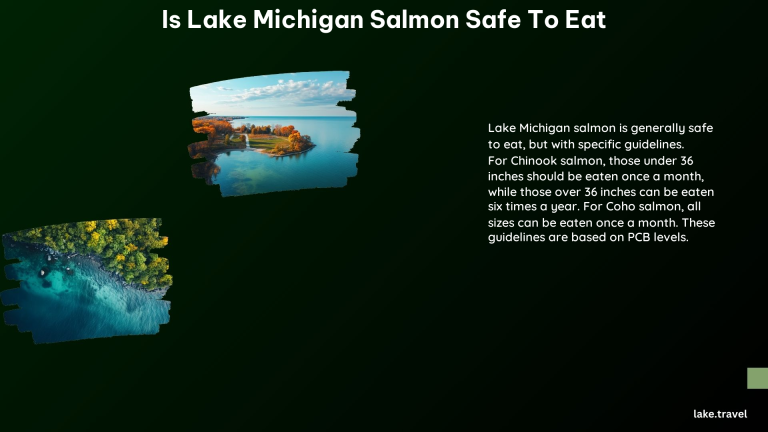 Is Lake Michigan Salmon Safe to Eat