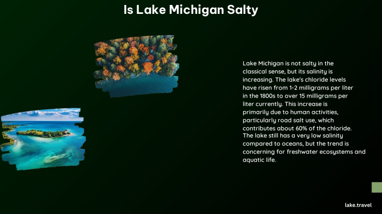 Is Lake Michigan Salty