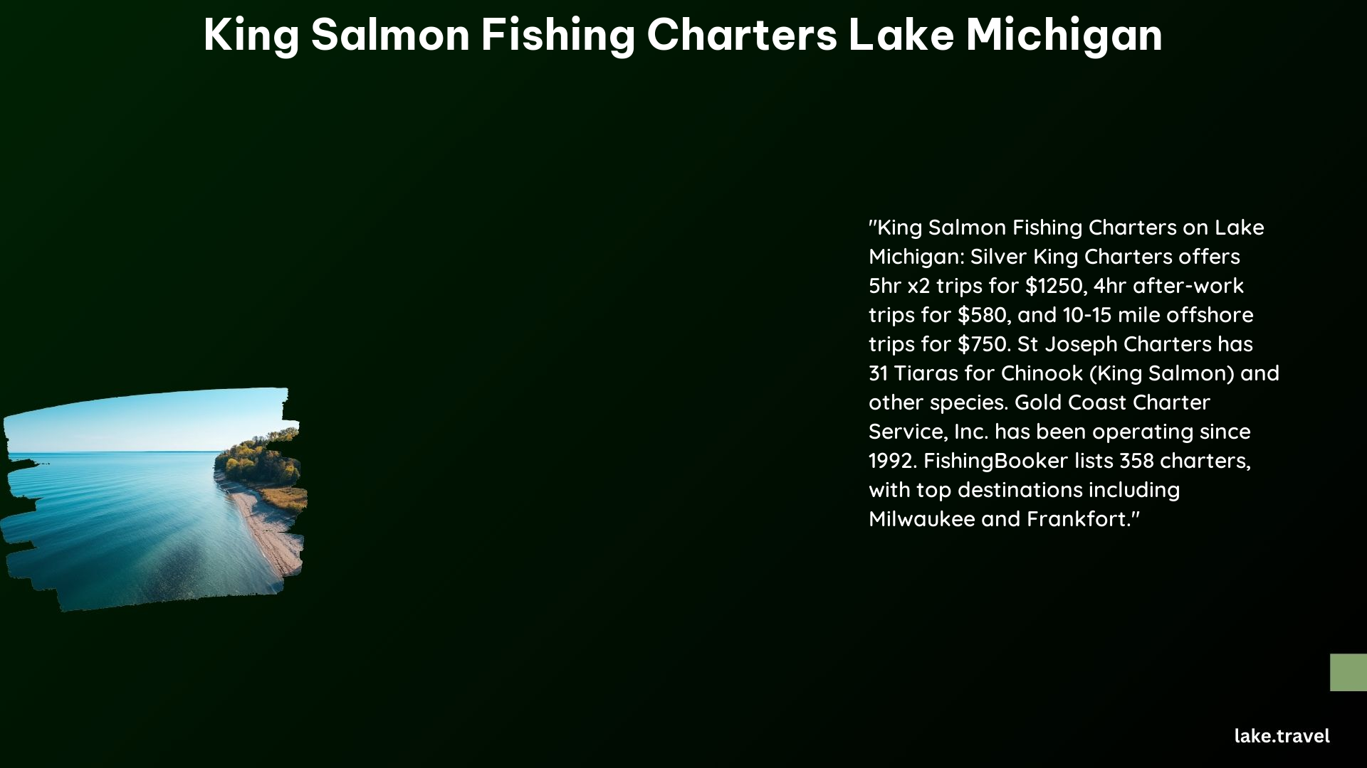 King Salmon Fishing Charters Lake Michigan