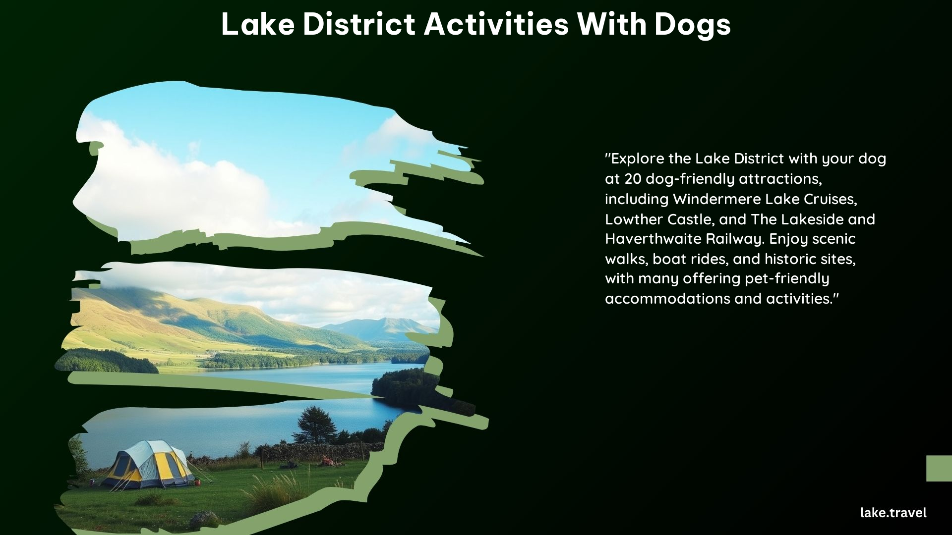 Lake District Activities With Dogs