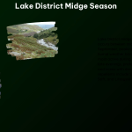 Lake District Midge Season