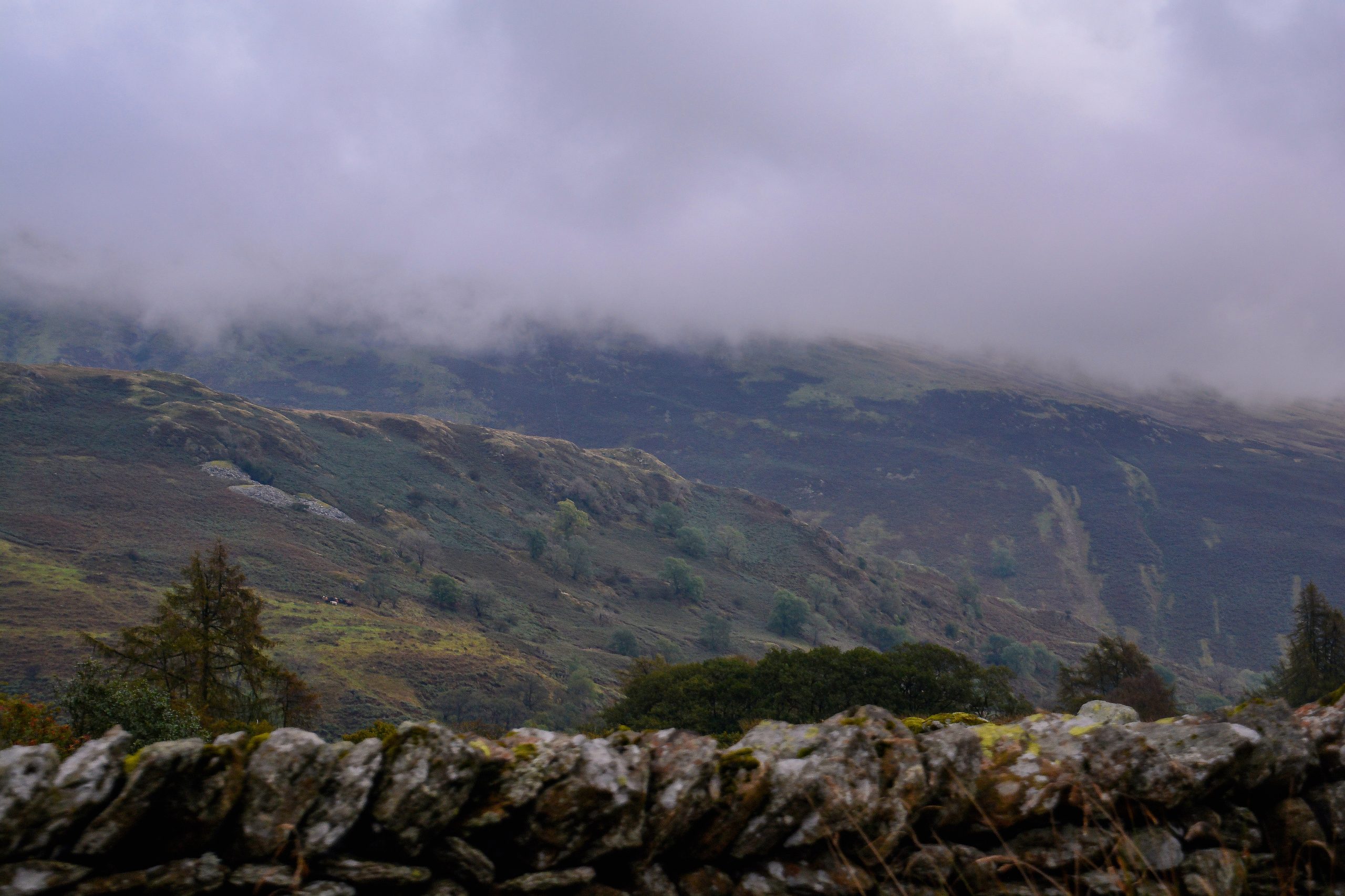 Lake District Drive View