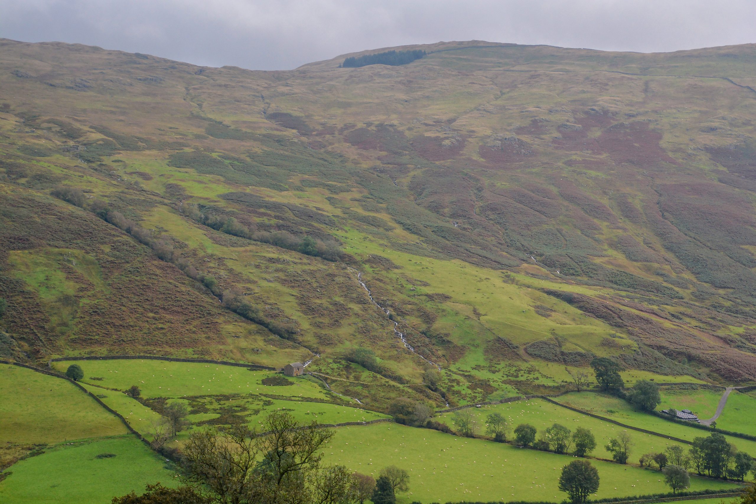 Lake District Camping Fires Allowed