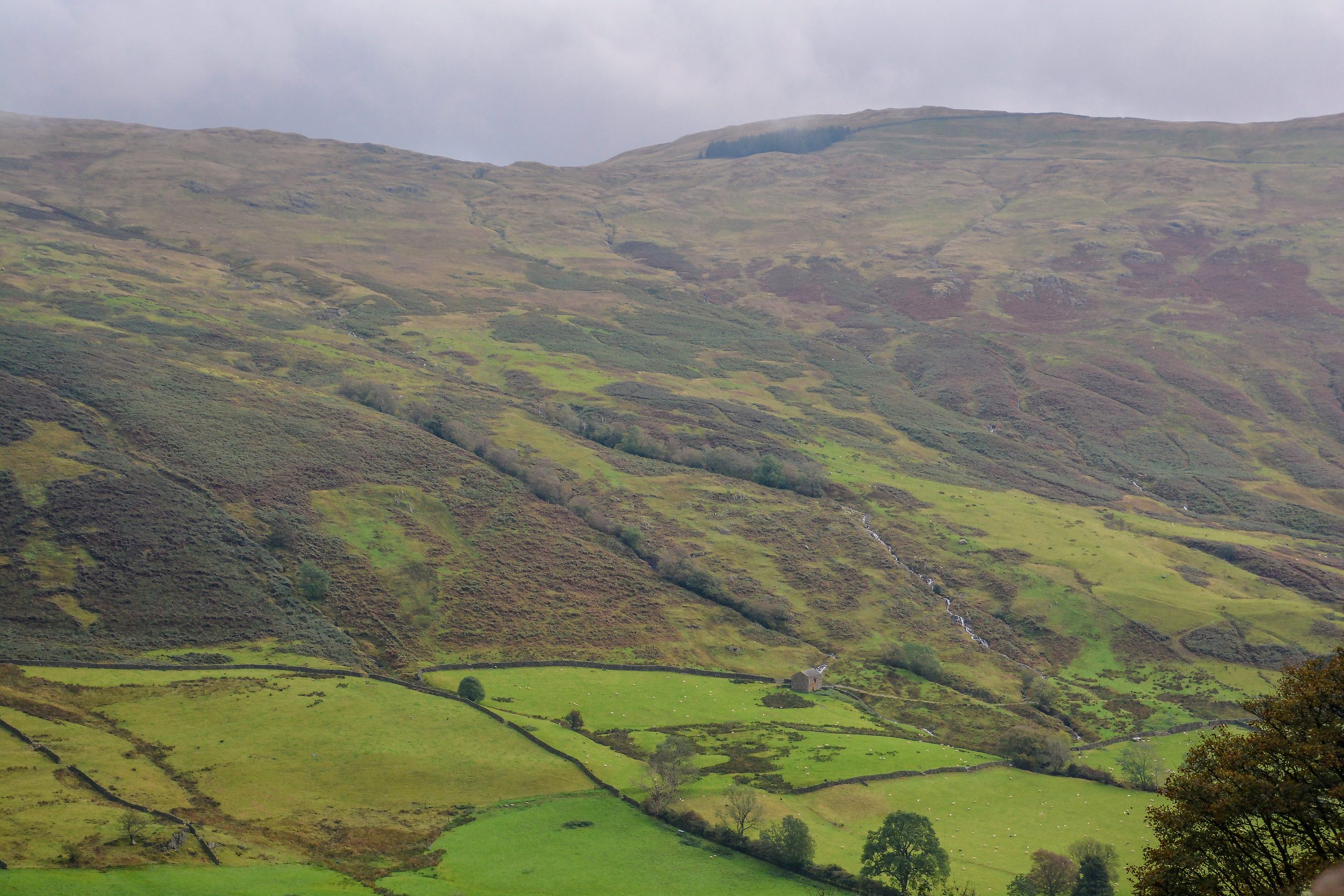 Lake District Castle Crag