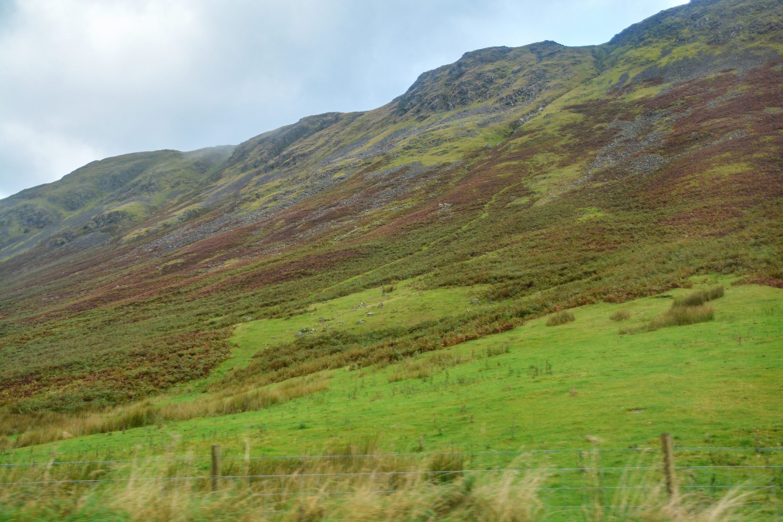 What to Eat in Lake District