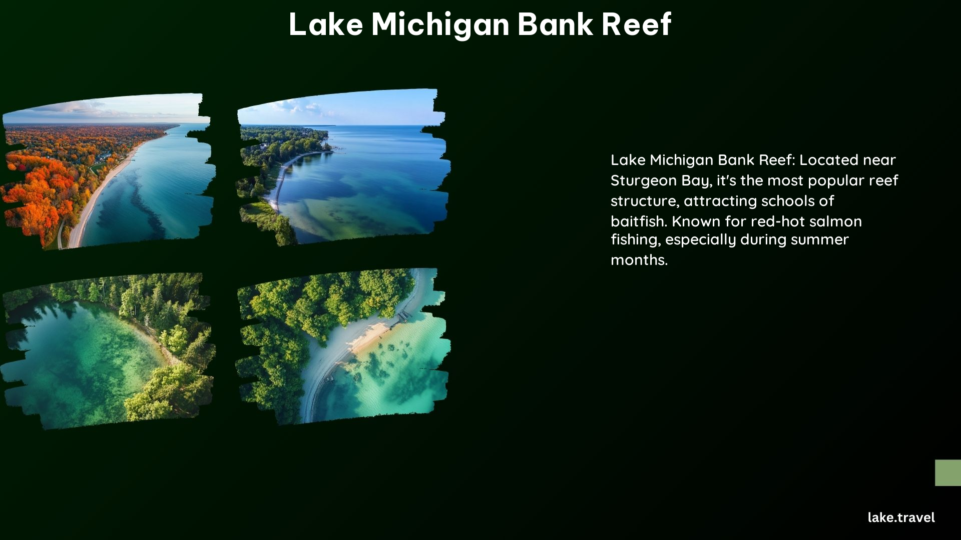 Lake Michigan Bank Reef