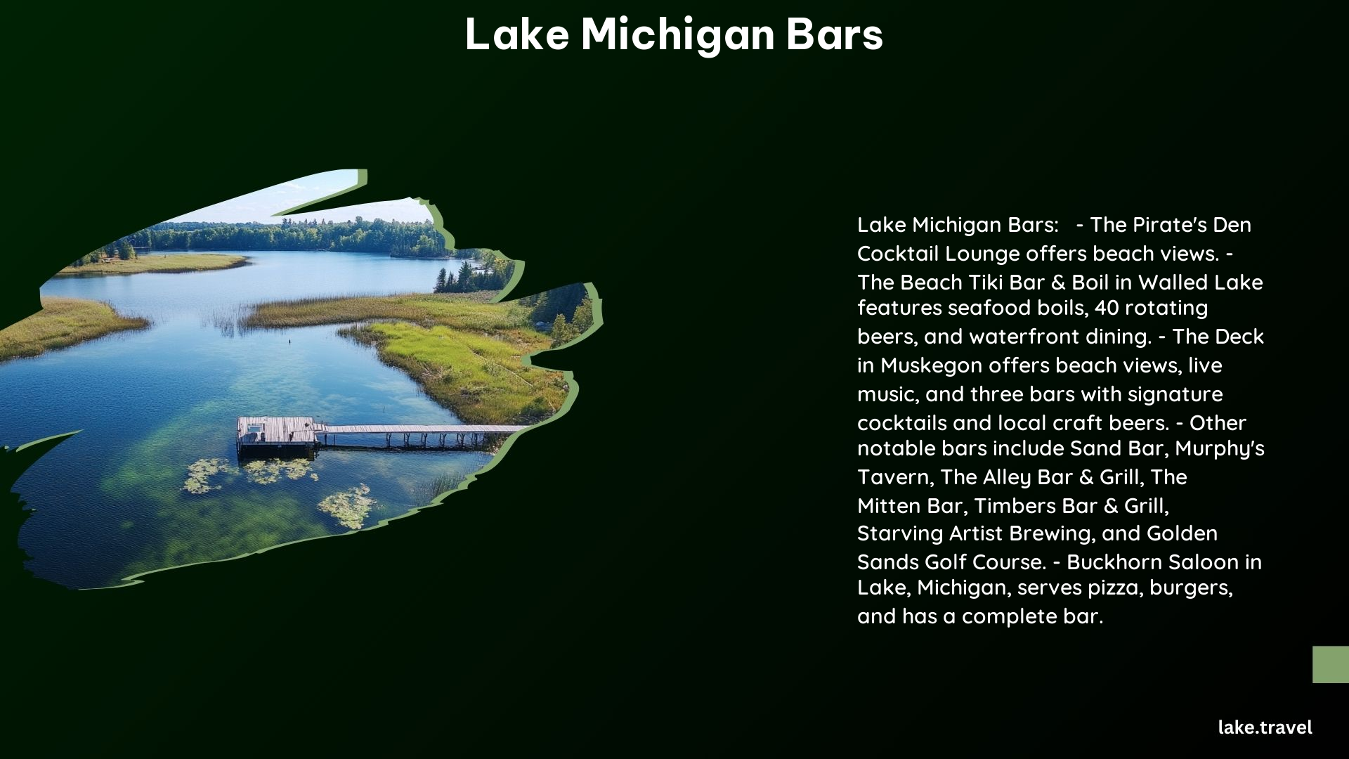 Lake Michigan Bars