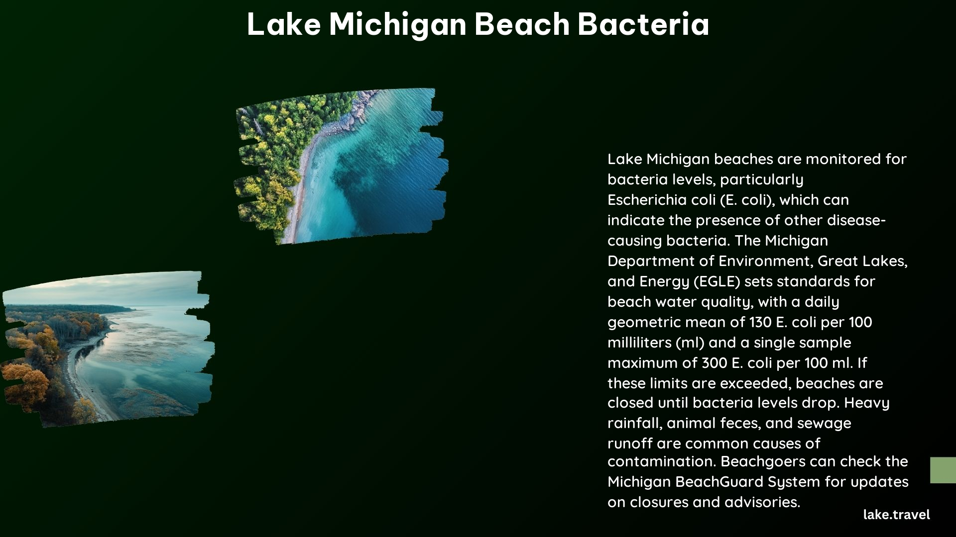 Lake Michigan Beach Bacteria