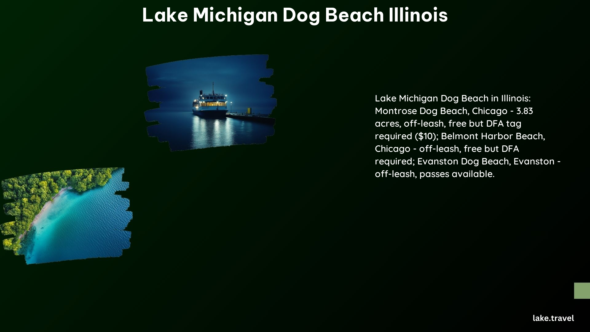 Lake Michigan Dog Beach Illinois