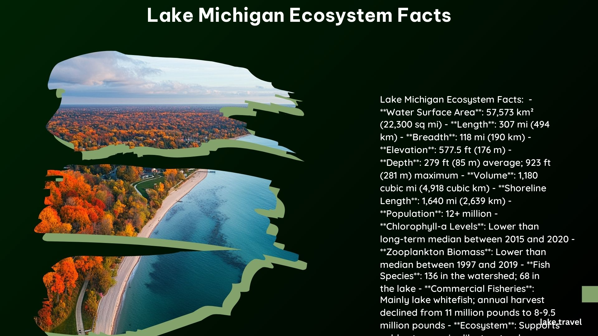 Lake Michigan Ecosystem Facts