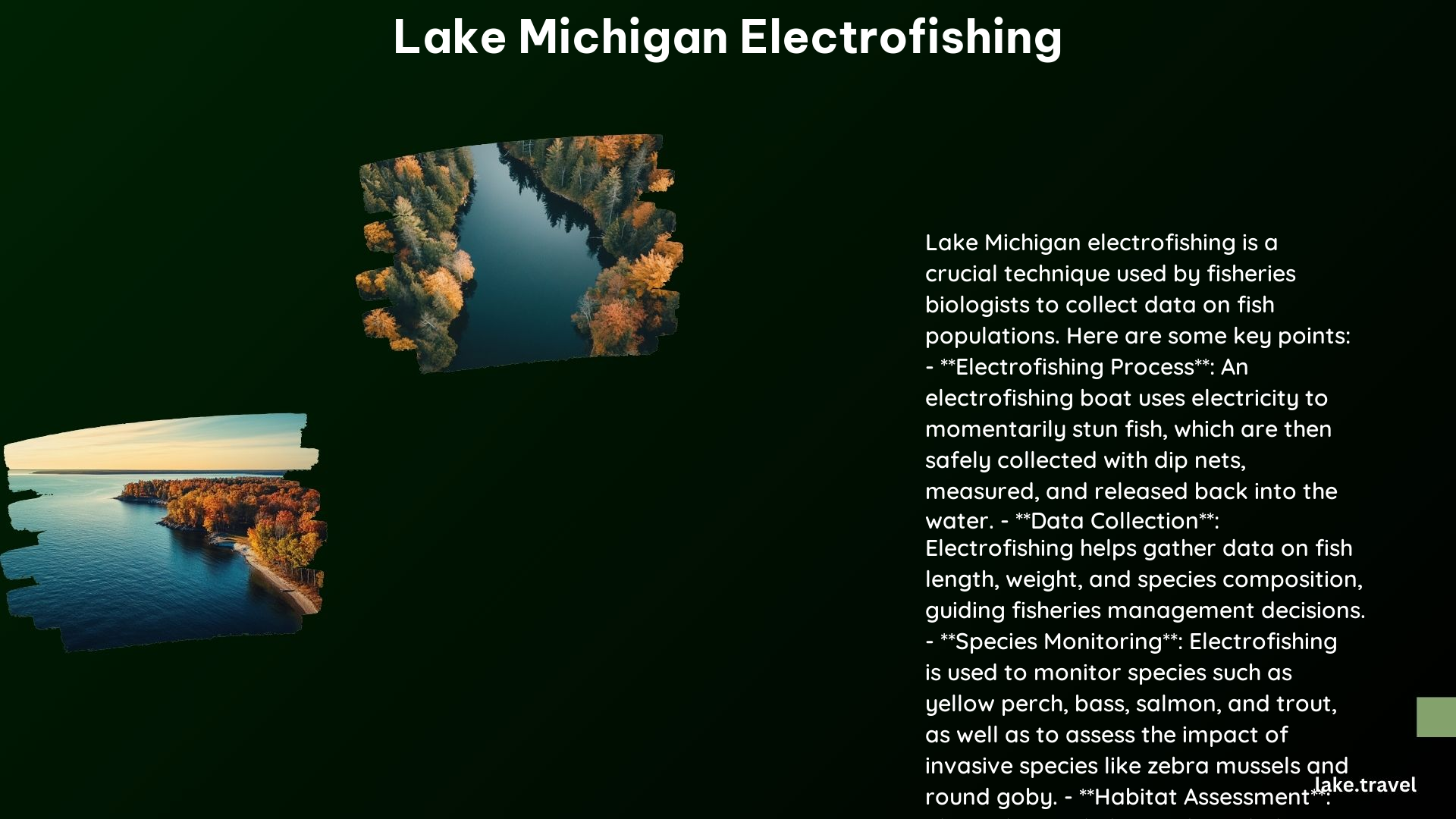 Lake Michigan Electrofishing