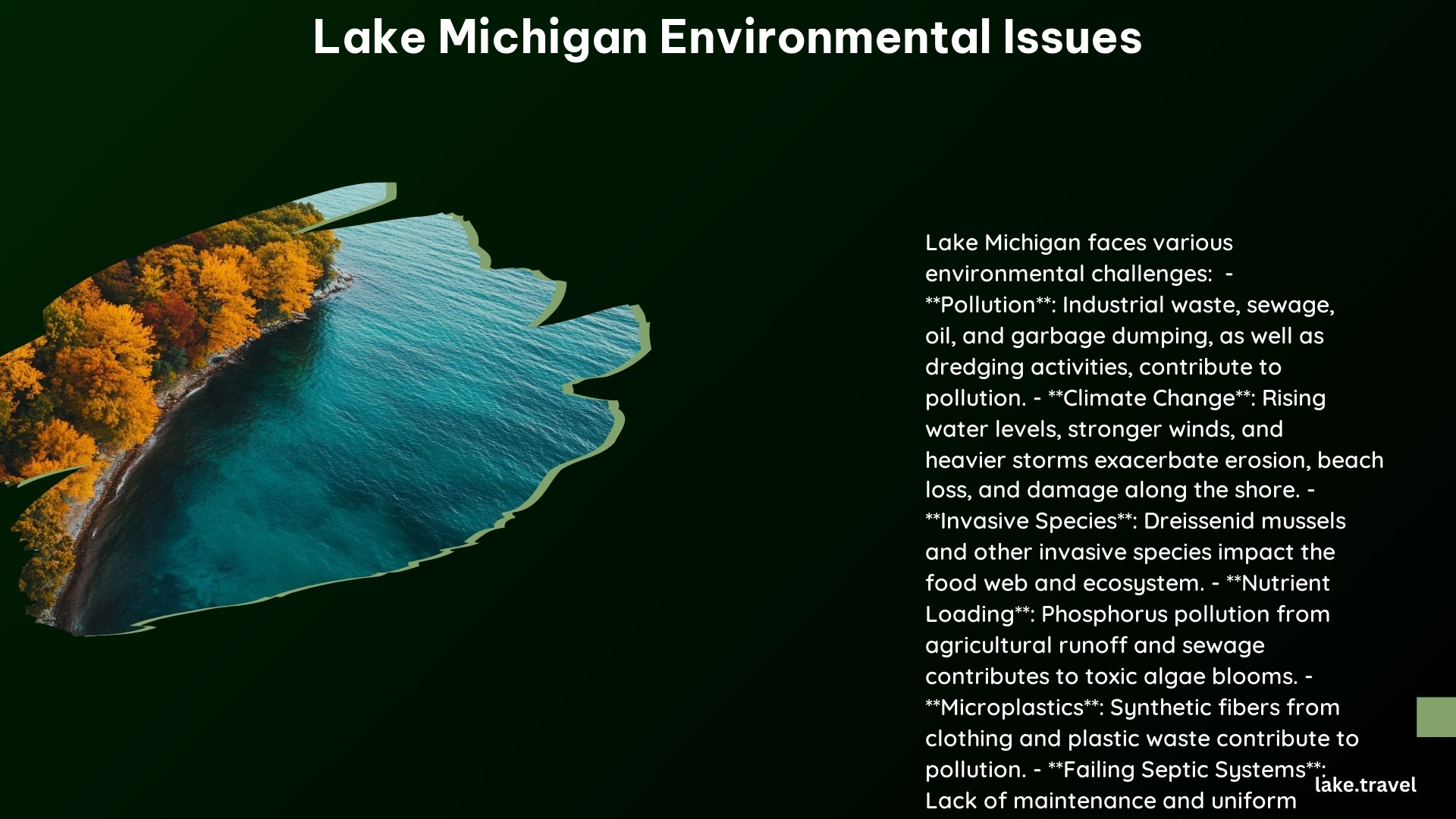 Lake Michigan Environmental Issues