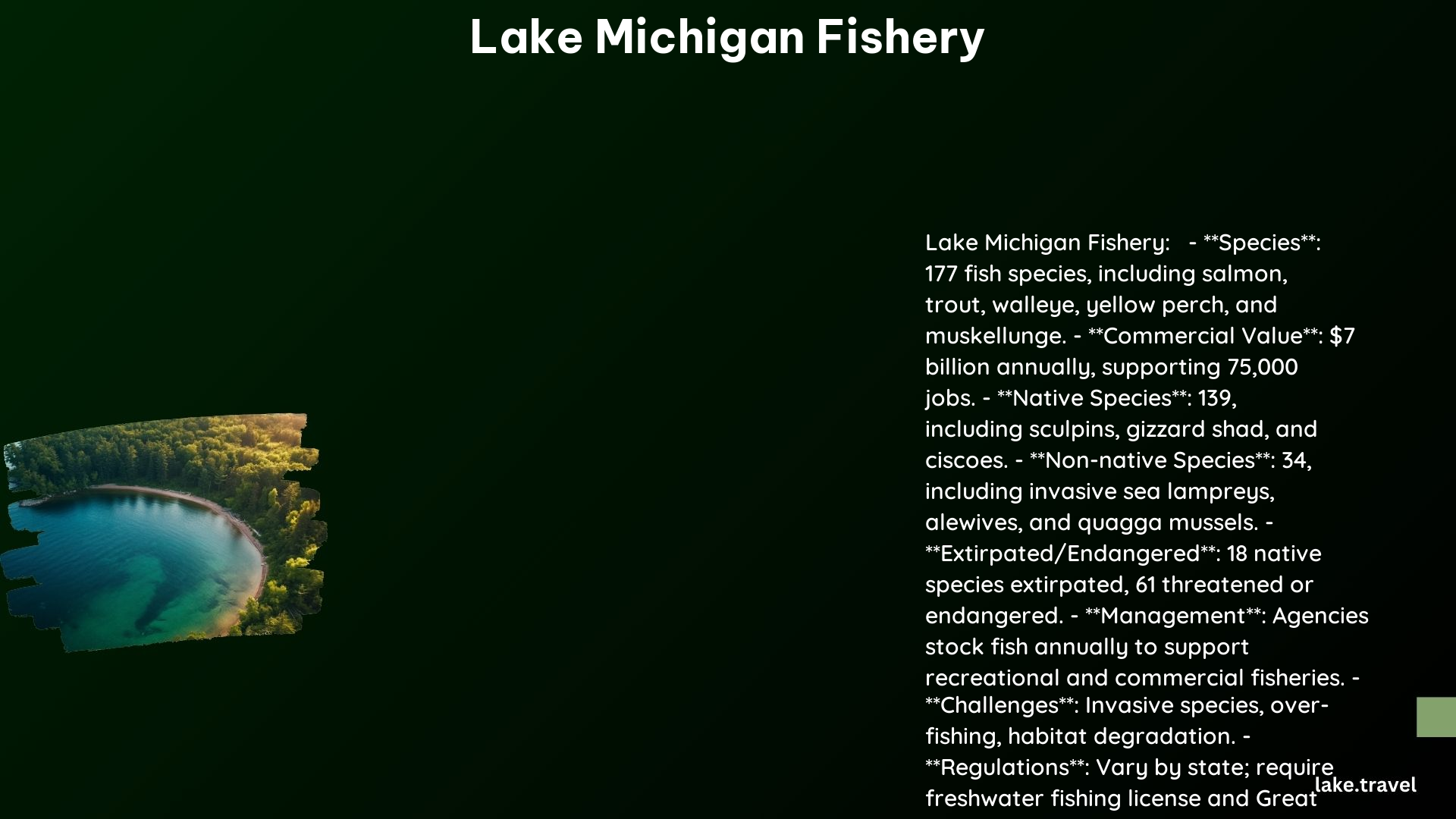 Lake Michigan Fishery