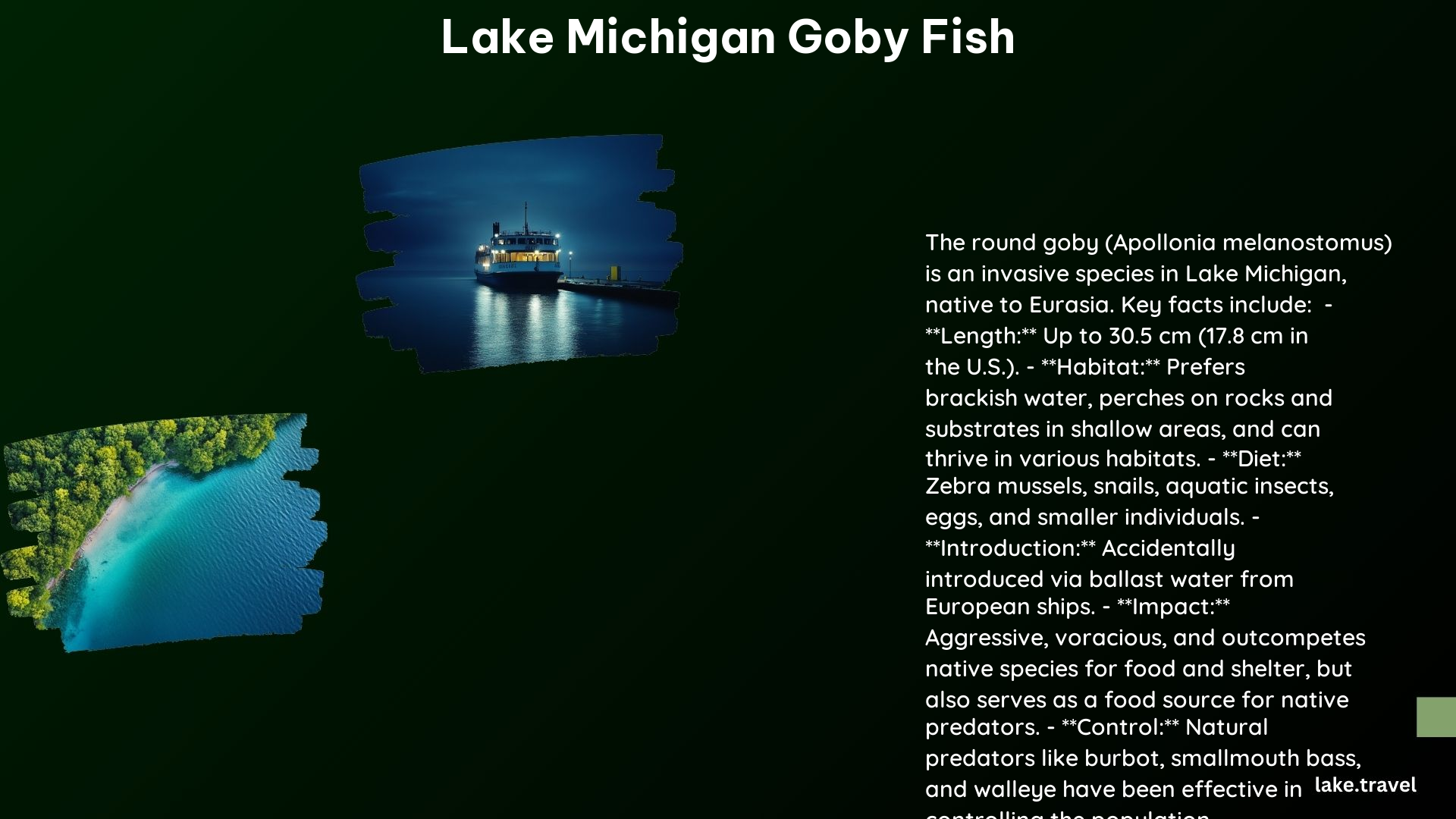 Lake Michigan Goby Fish