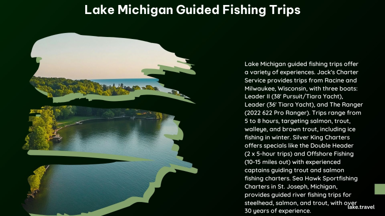 Lake Michigan Guided Fishing Trips