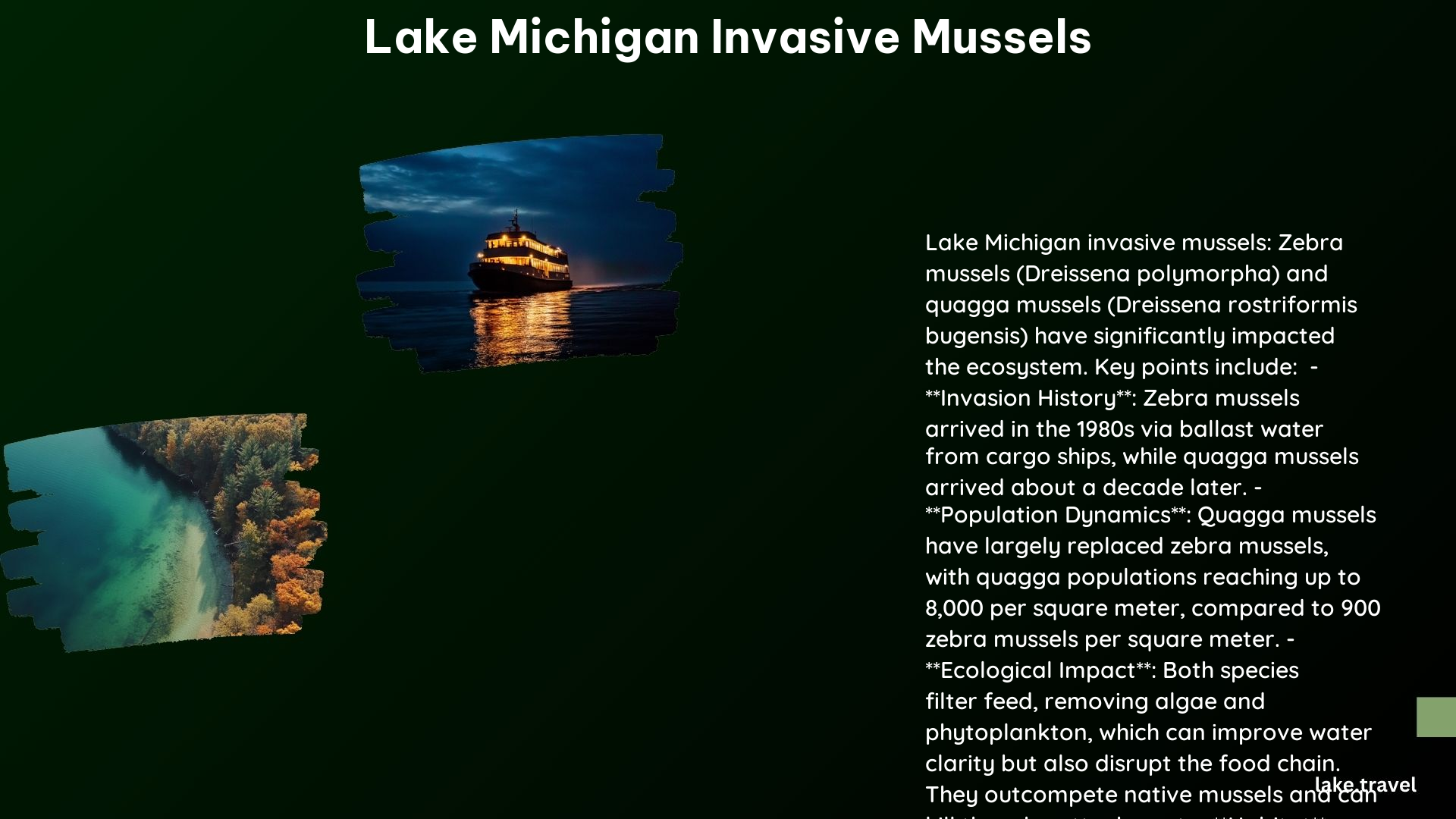 Lake Michigan Invasive Mussels