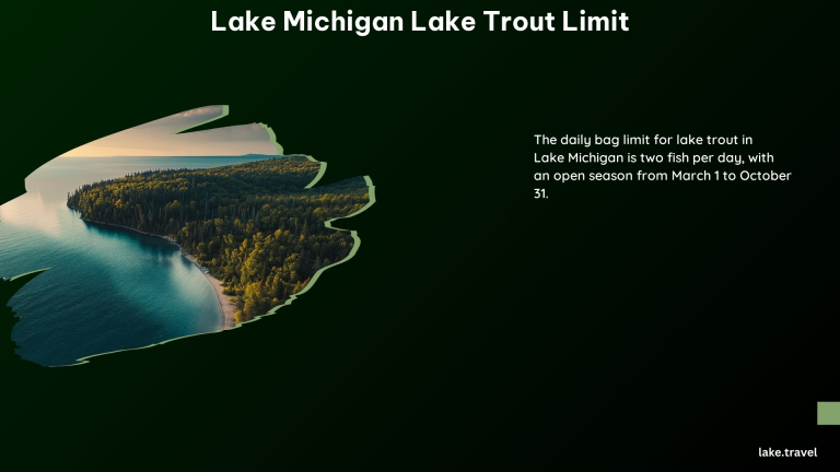 Lake Michigan Lake Trout Limit