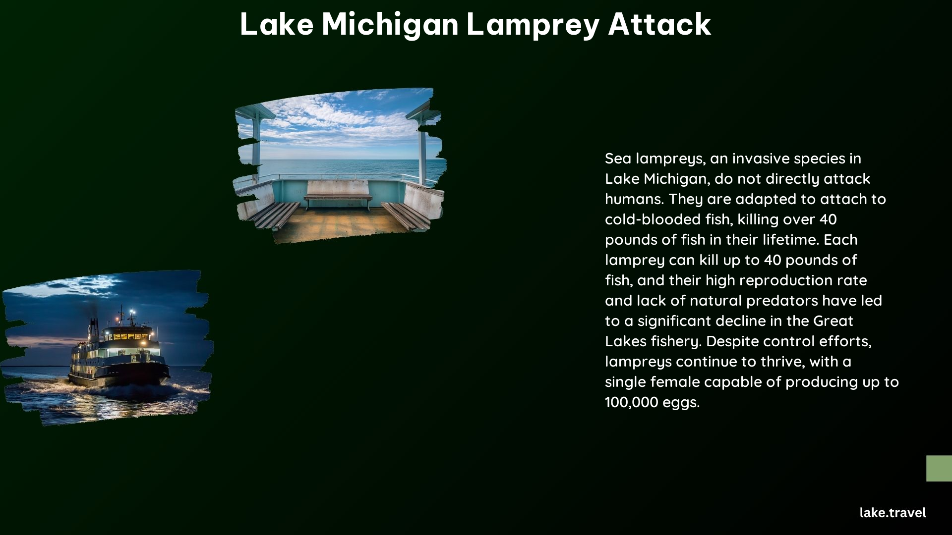 Lake Michigan Lamprey Attack