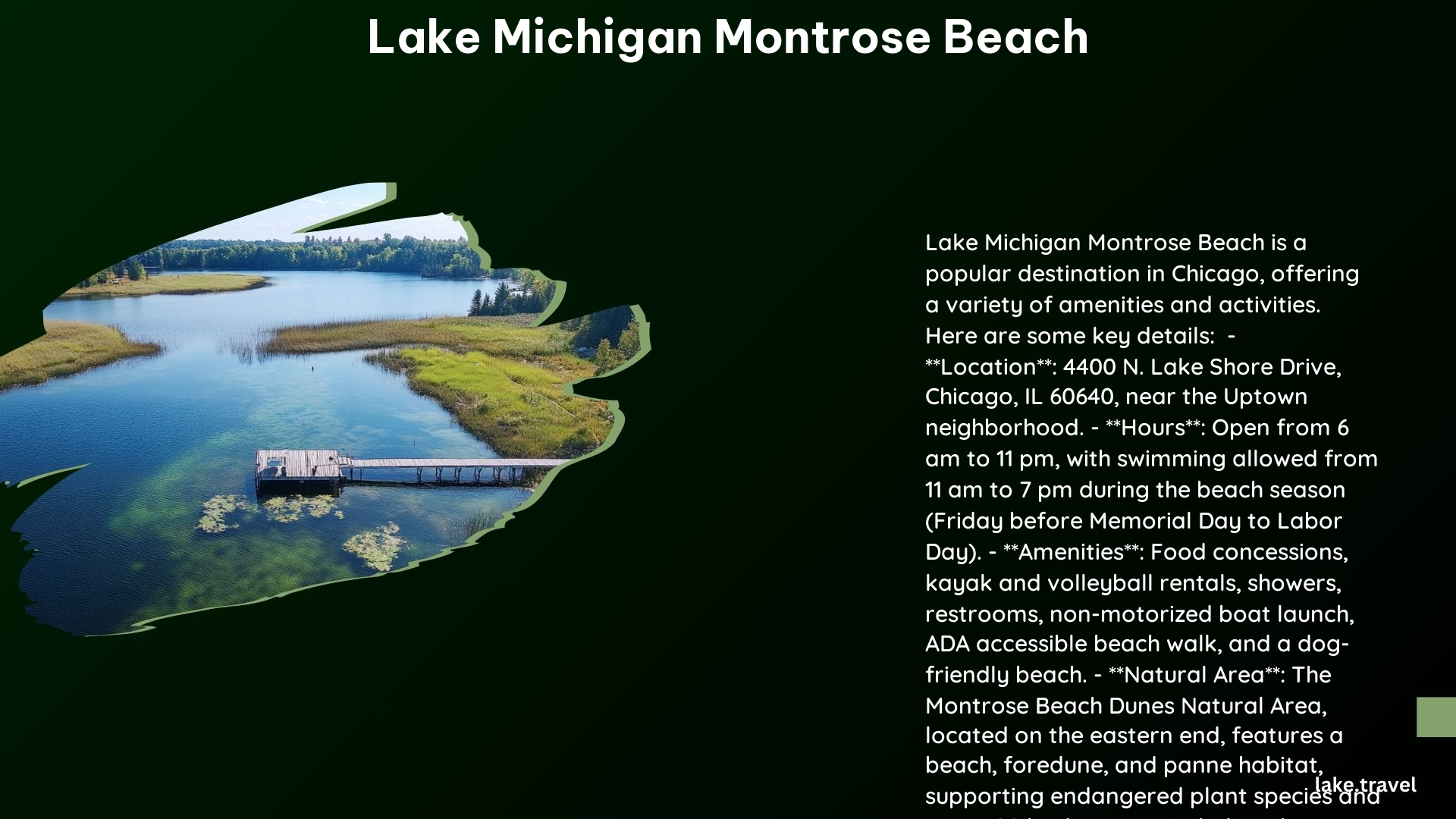 Lake Michigan Montrose Beach