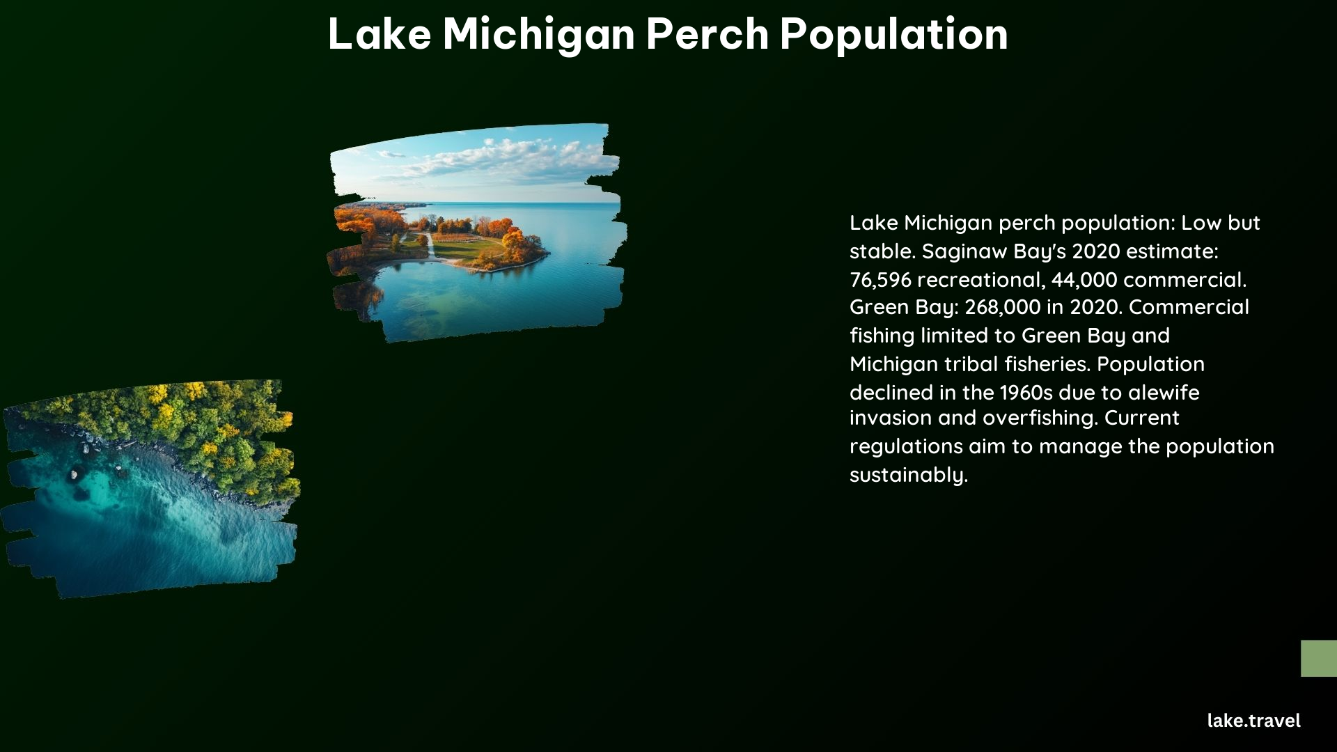 Lake Michigan Perch Population