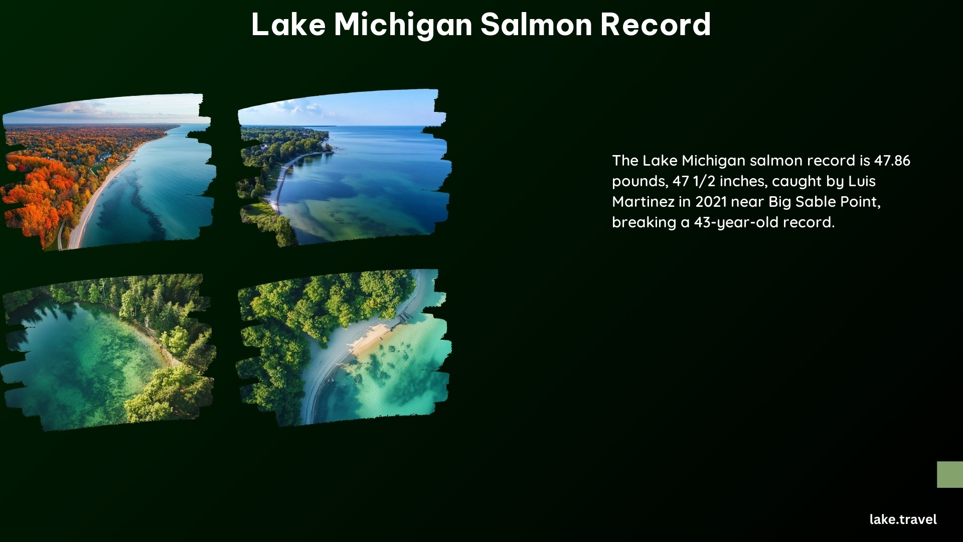 Lake Michigan Salmon Record