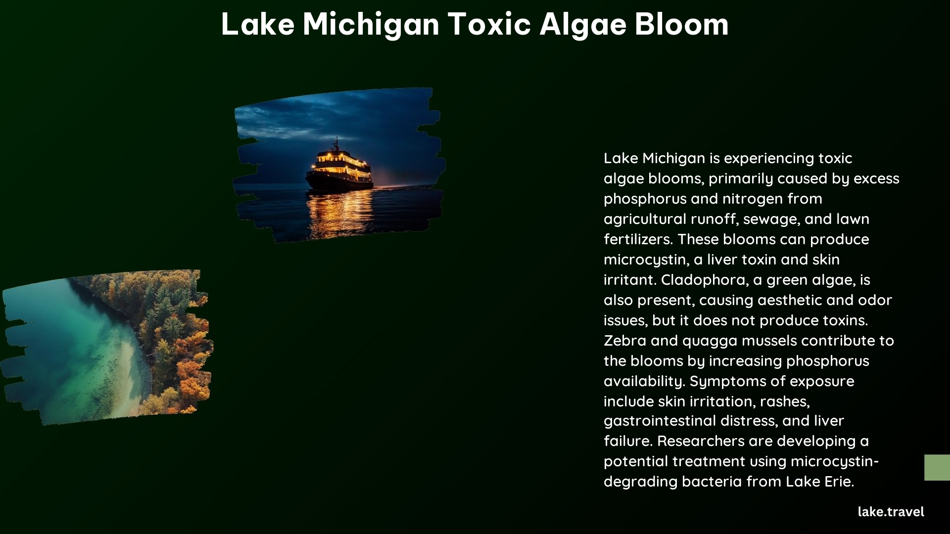 Lake Michigan Toxic Algae Bloom